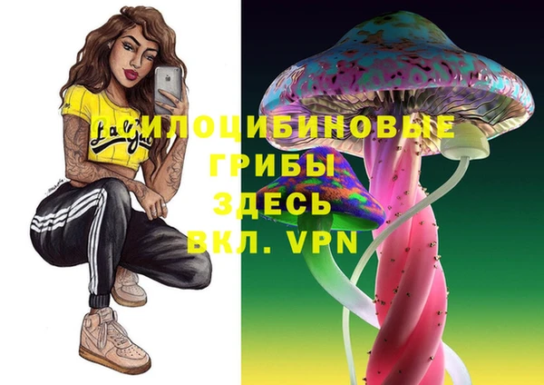 гидра Белоозёрский