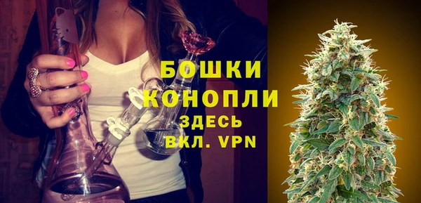 apvp Белокуриха