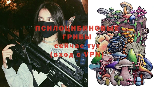 гидра Белоозёрский