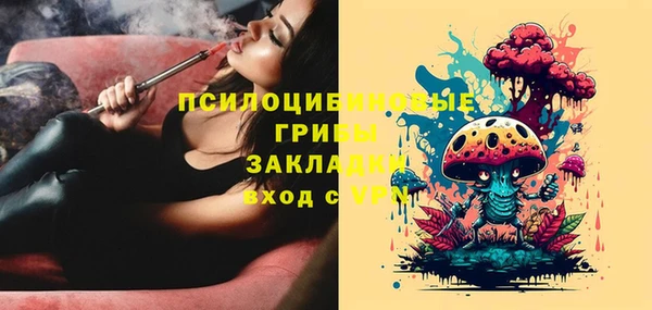 гидра Беломорск