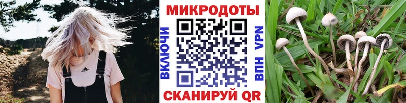 нарко площадка наркотические препараты Гремячинск Псилоцибиновые грибы мицелий купить наркотик